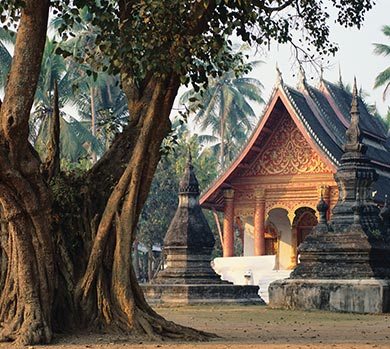 Tour su misura alla scoperta di Vietnam, Cambogia e Laos