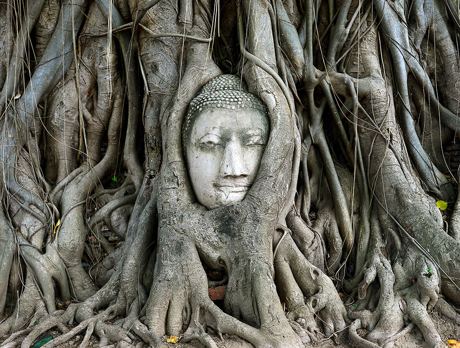 17-626-Buddha-head-in-tree-roots-at-Wat-Mahathat