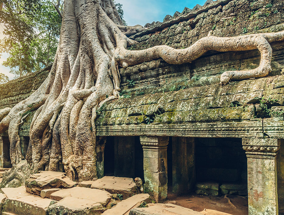 28-793-Ta-Phrom-Angkor-Complex