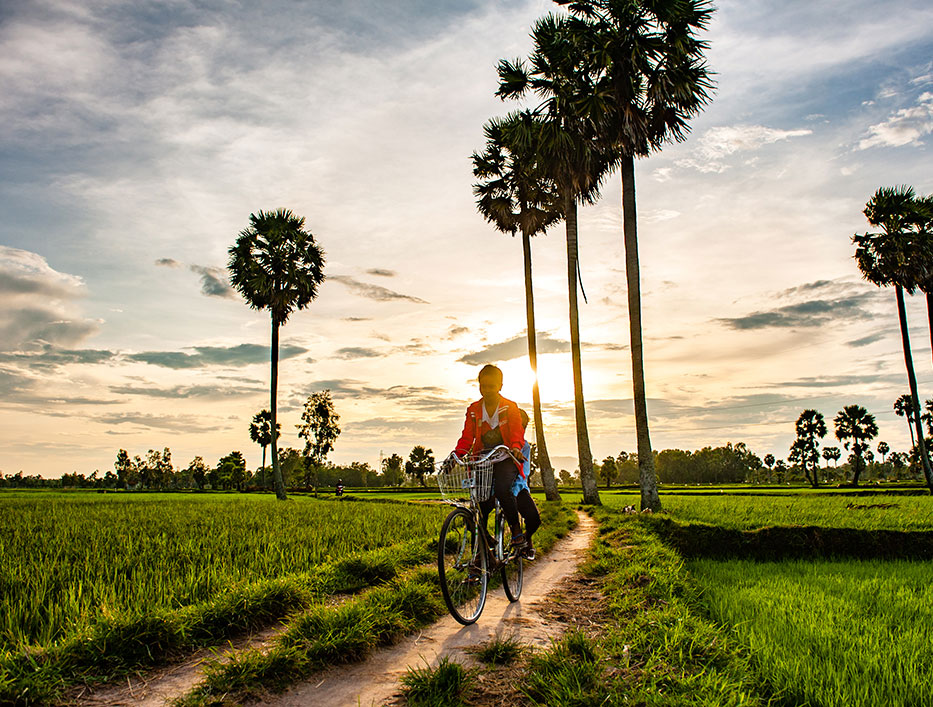 57-531-Riding-Bike-through-rice-paddy-field