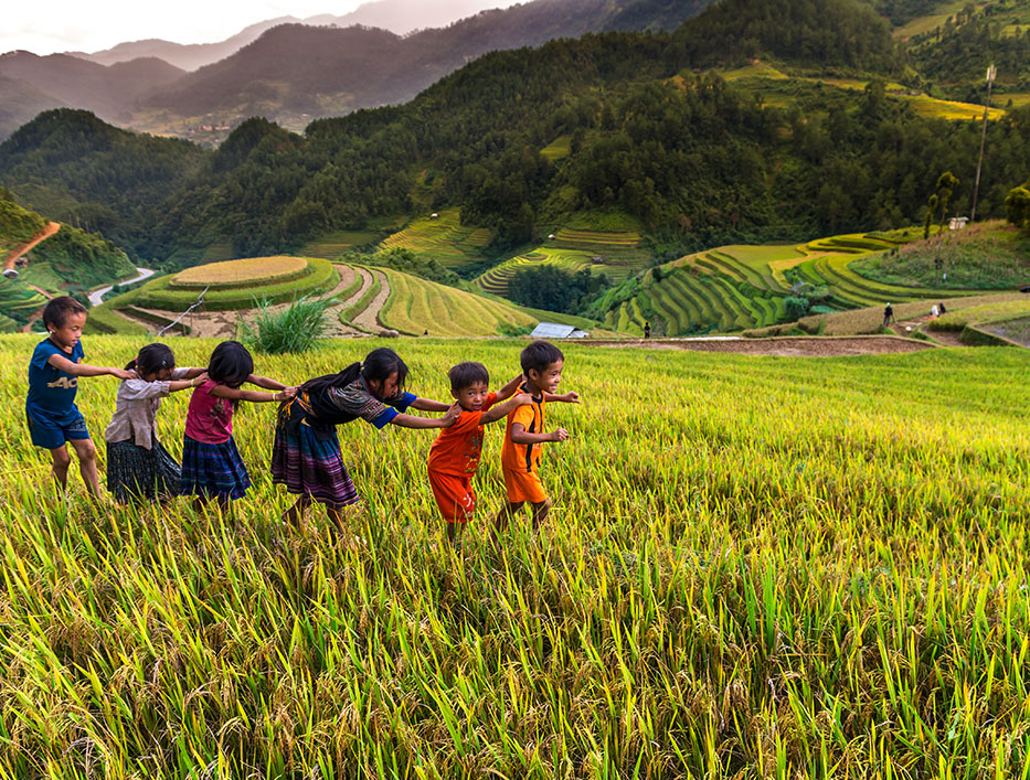 14-256-Children-Playing-on-rice-field-Sapa