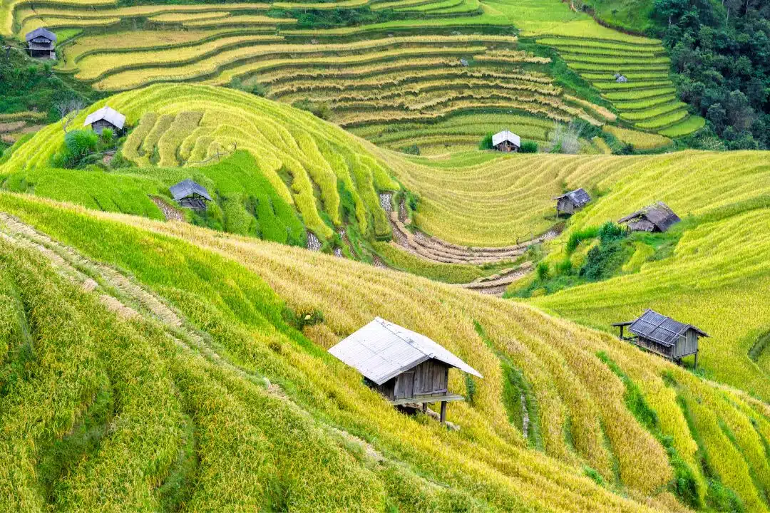 Panoramica sul Vietnam
