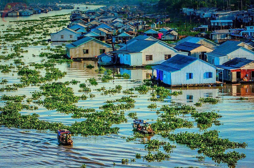 Il Mistero del Vietnam del Sud