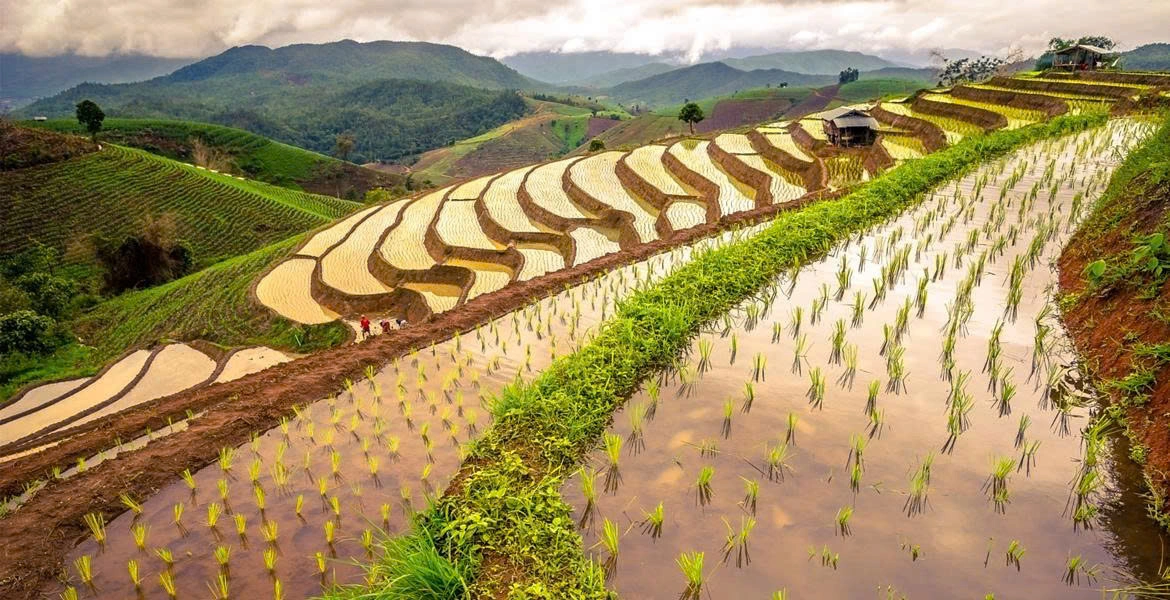 Punti Salienti di Sapa e Ha Long