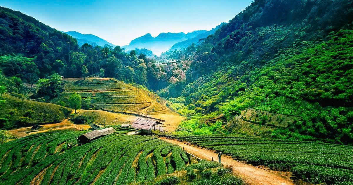 Il Meglio della Thailandia