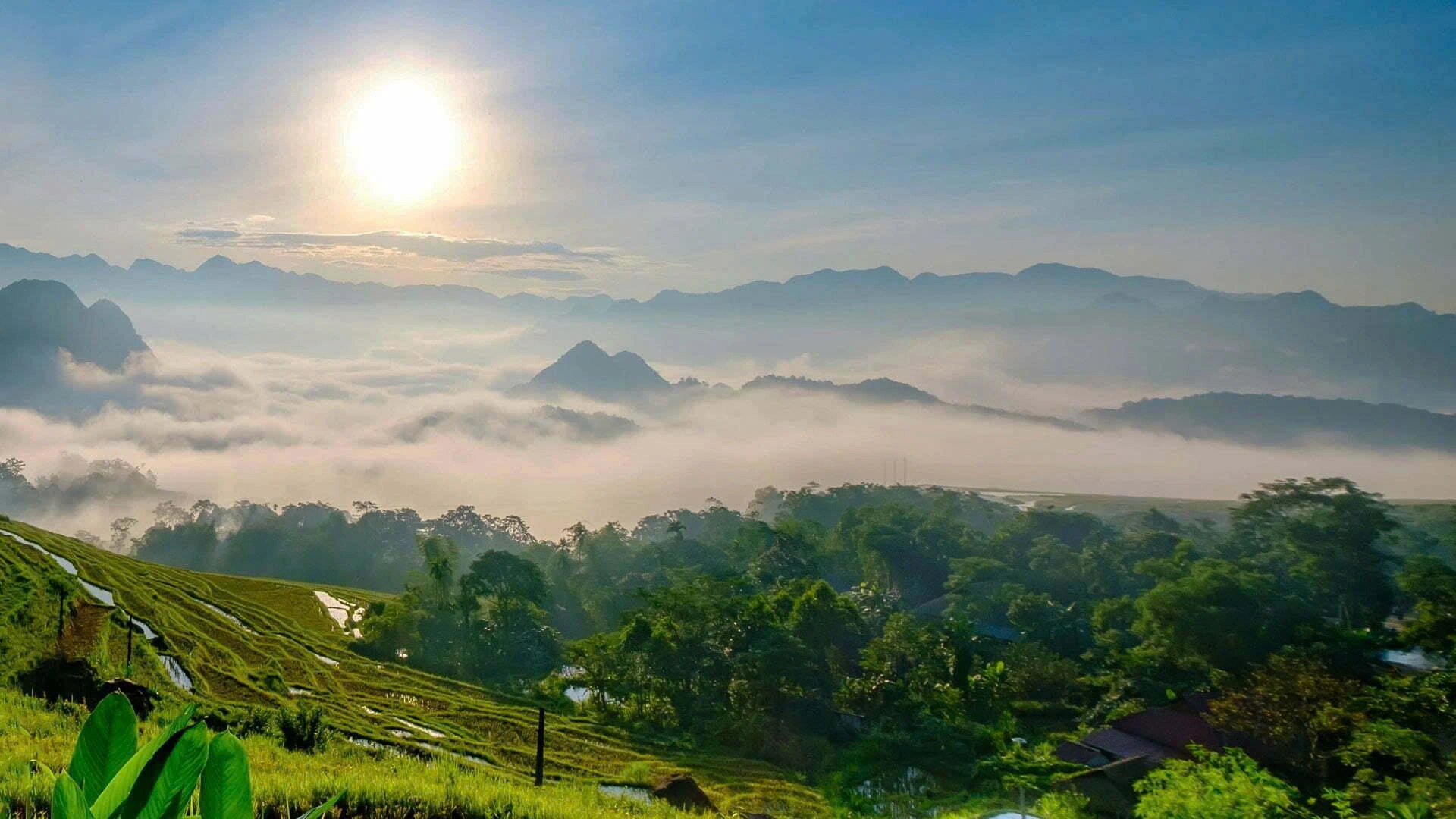 Luna di Miele Attiva in Vietnam