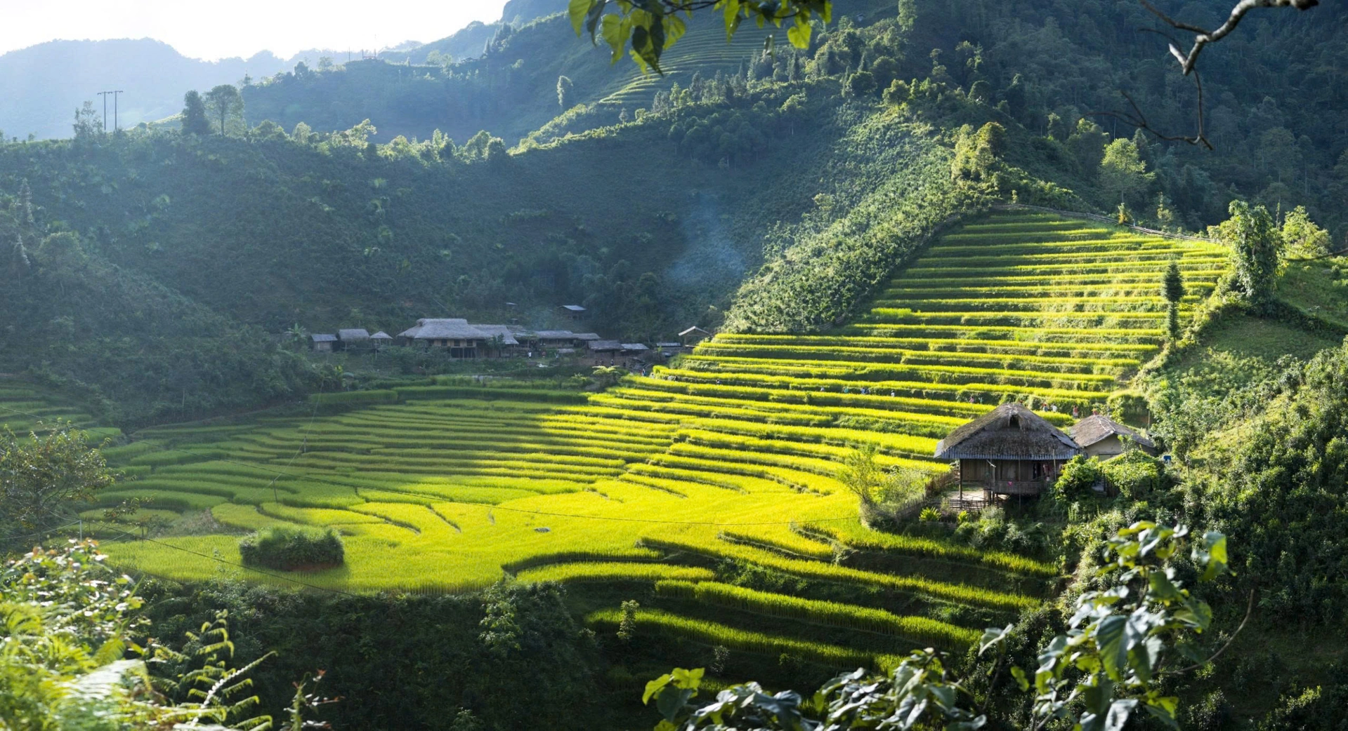 Il Grande Vietnam