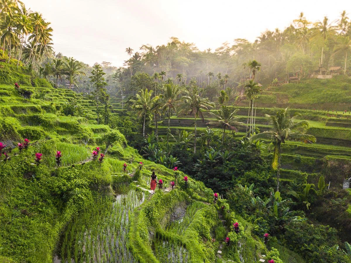 Le migliori cose da fare a Ubud