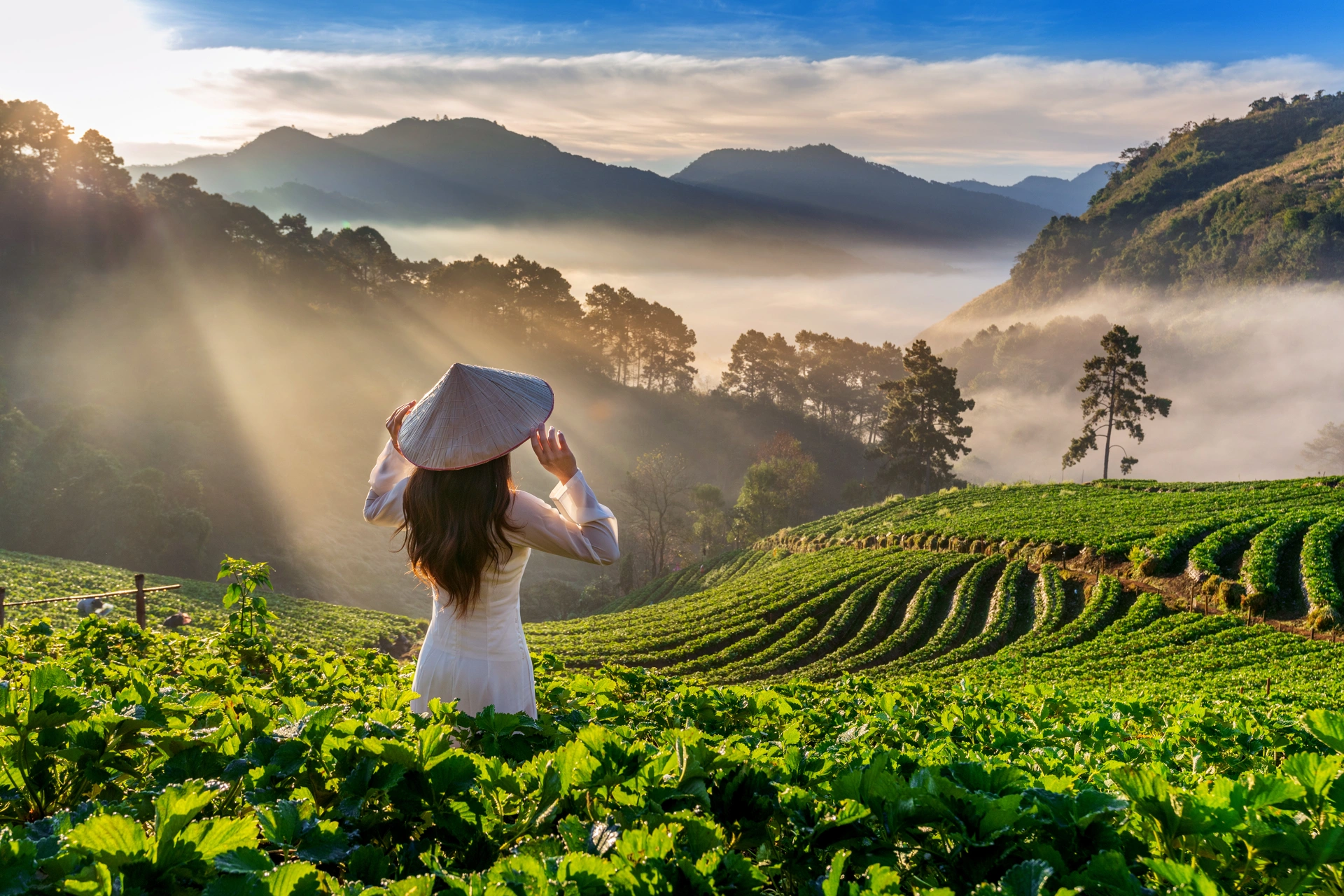 Le esperienze più meravigliose grazie all’organizzazione eccezionale di VietnamStay